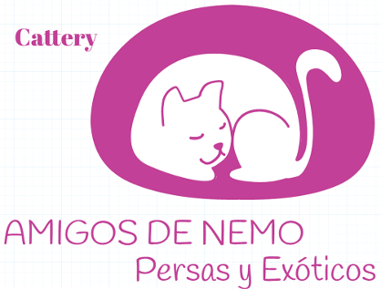 logo del criadero de gatos persa y exóticos amigos de nemo